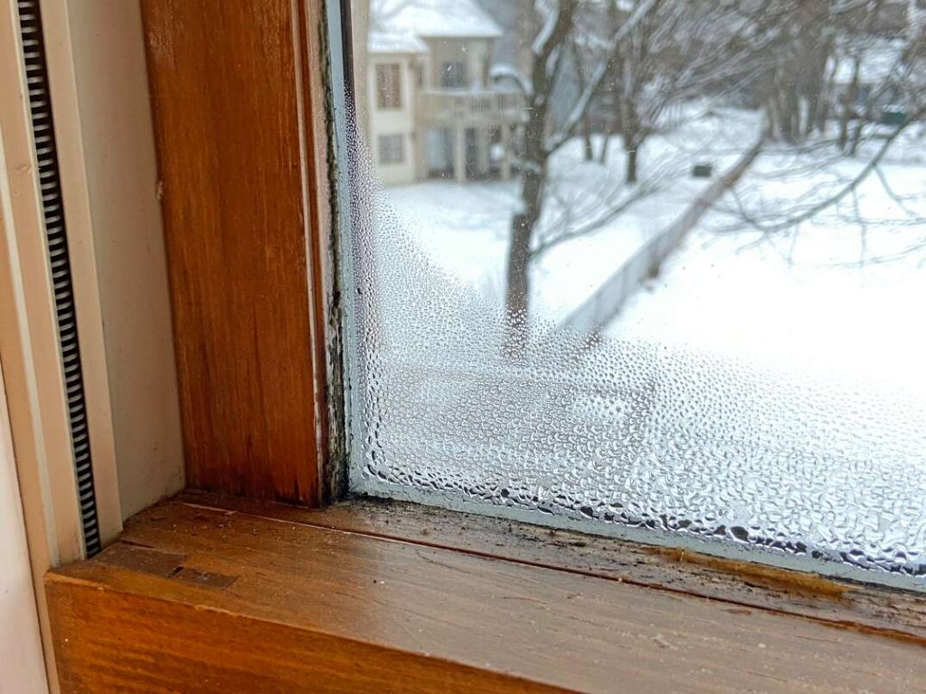 Window Maintenance
